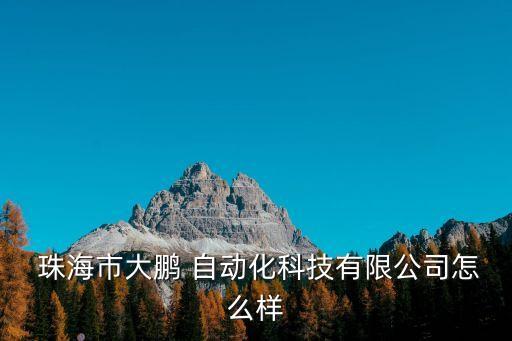  珠海市大鵬 自動(dòng)化科技有限公司怎么樣