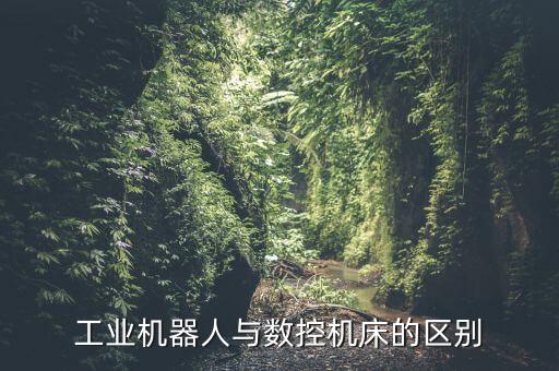 機器人和機械,機器人和機械人有什么區(qū)別?