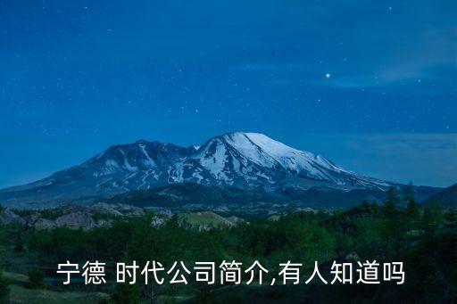  寧德 時代公司簡介,有人知道嗎