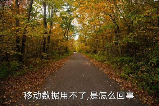 移動數(shù)據(jù)用不了,是怎么回事