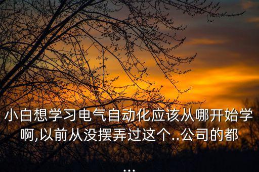 小白想學(xué)習(xí)電氣自動(dòng)化應(yīng)該從哪開始學(xué)啊,以前從沒擺弄過這個(gè)..公司的都...