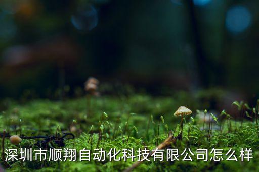 深圳市順翔自動化科技有限公司怎么樣