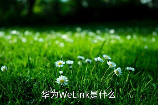 weilink,華為云welink怎么添加成員?教程如下