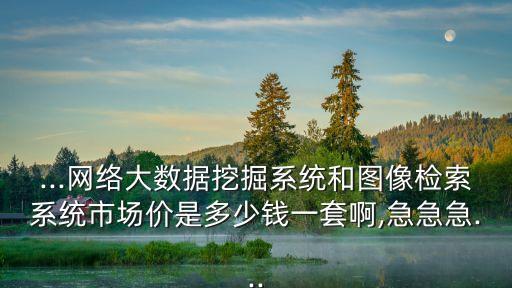 ...網(wǎng)絡(luò)大數(shù)據(jù)挖掘系統(tǒng)和圖像檢索系統(tǒng)市場(chǎng)價(jià)是多少錢一套啊,急急急...
