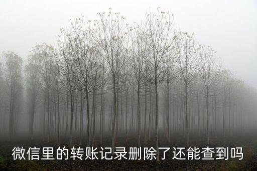 微信里的轉(zhuǎn)賬記錄刪除了還能查到嗎