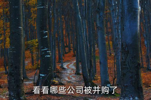 看看哪些公司被并購了