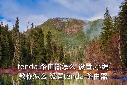 tenda 路由器怎么 設(shè)置,小編教你怎么 設(shè)置tenda 路由器