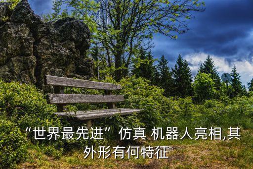 “世界最先進”仿真 機器人亮相,其外形有何特征
