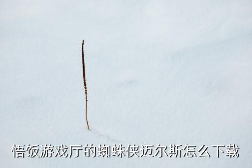 悟飯游戲廳的蜘蛛俠邁爾斯怎么下載
