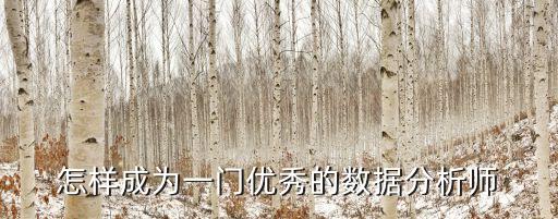 怎樣成為一門優(yōu)秀的數(shù)據(jù)分析師