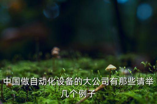 中國做自動化設備的大公司有那些請舉幾個例子