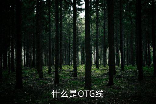 可充電otg數(shù)據(jù)線,otg和普通數(shù)據(jù)線區(qū)別在哪?一樣?