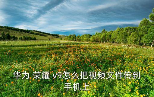 榮耀v9數(shù)據(jù)遷移怎么選,榮耀手機(jī)數(shù)據(jù)遷移到蘋果手機(jī)