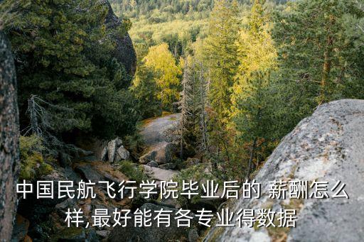 中國民航飛行學院畢業(yè)后的 薪酬怎么樣,最好能有各專業(yè)得數(shù)據(jù)