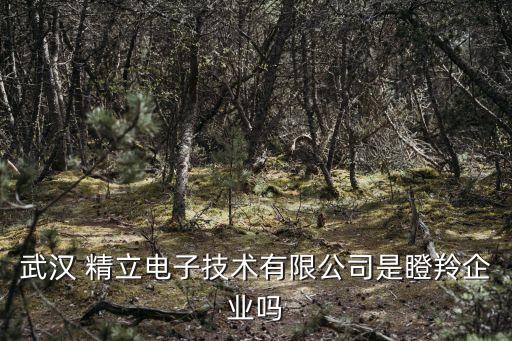 武漢 精立電子技術有限公司是瞪羚企業(yè)嗎