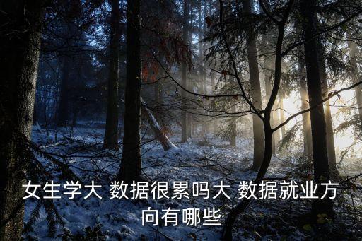 女生學(xué)大 數(shù)據(jù)很累嗎大 數(shù)據(jù)就業(yè)方向有哪些