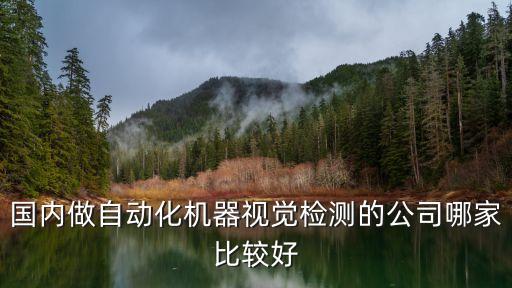 國內做自動化機器視覺檢測的公司哪家比較好