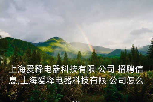上海愛釋電器科技有限 公司 招聘信息,上海愛釋電器科技有限 公司怎么...
