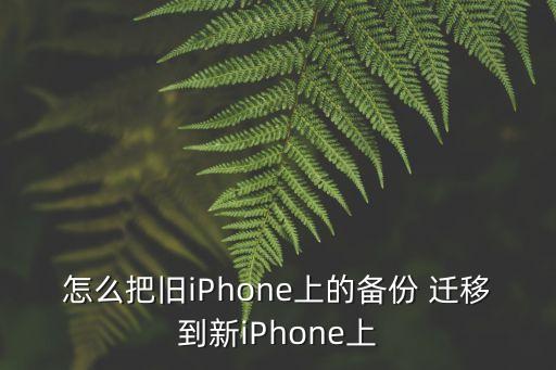 Iphone 健康數(shù)據(jù) 遷移,iphone怎么遷移數(shù)據(jù)到新手機(jī)