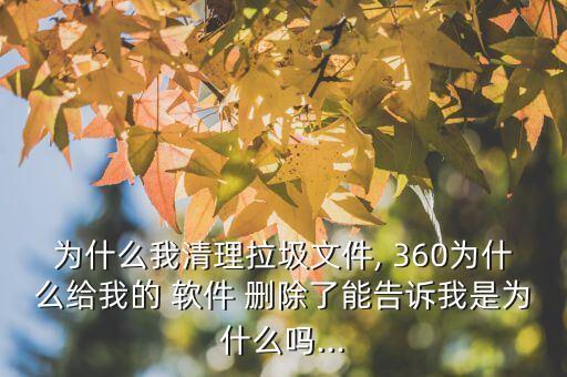為什么我清理拉圾文件, 360為什么給我的 軟件 刪除了能告訴我是為什么嗎...