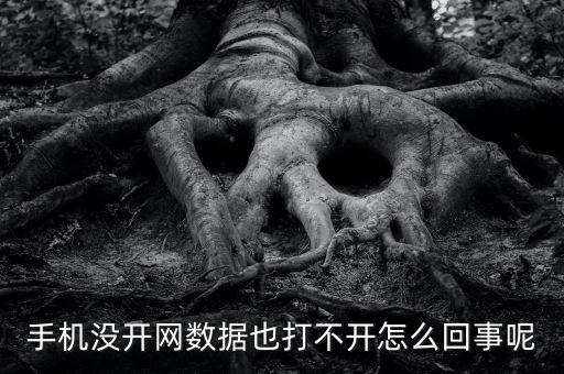 手機(jī)服務(wù)器沒有數(shù)據(jù),一加手機(jī)為何沒有數(shù)據(jù)上網(wǎng)?原因何在?
