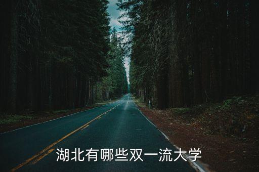 武大自動化是雙一流專業(yè)嗎,