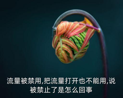 流量被禁用,把流量打開也不能用,說被禁止了是怎么回事