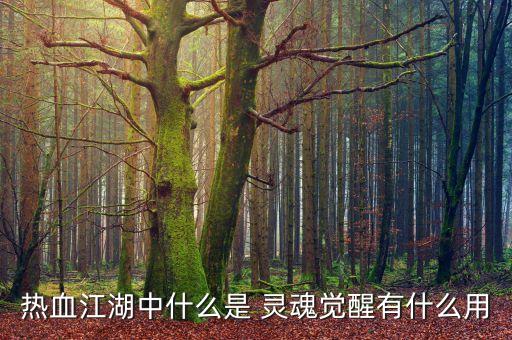 熱血江湖中什么是 靈魂覺醒有什么用