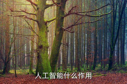 人工智能什么作用