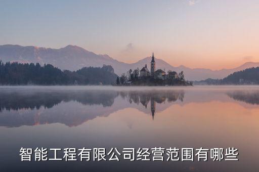 智能工程有限公司經(jīng)營(yíng)范圍有哪些