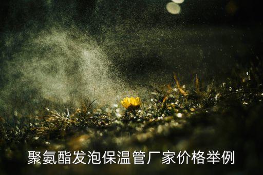聚氨酯發(fā)泡保溫管廠家價(jià)格舉例