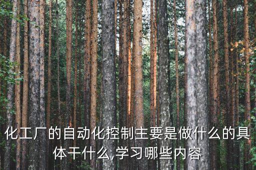化工廠的自動化控制主要是做什么的具體干什么,學(xué)習(xí)哪些內(nèi)容