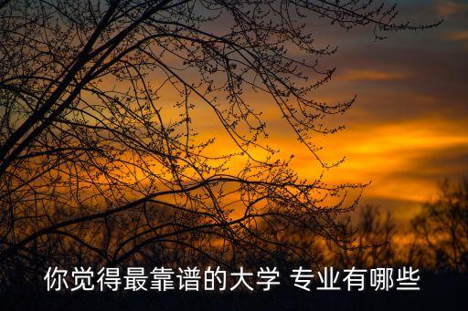 你覺得最靠譜的大學 專業(yè)有哪些