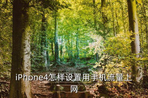iPhone4怎樣設(shè)置用手機(jī)流量上網(wǎng)