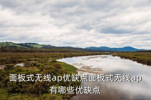面板式無(wú)線(xiàn)ap優(yōu)缺點(diǎn)面板式無(wú)線(xiàn)ap有哪些優(yōu)缺點(diǎn)