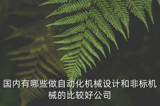 國內有哪些做自動化機械設計和非標機械的比較好公司