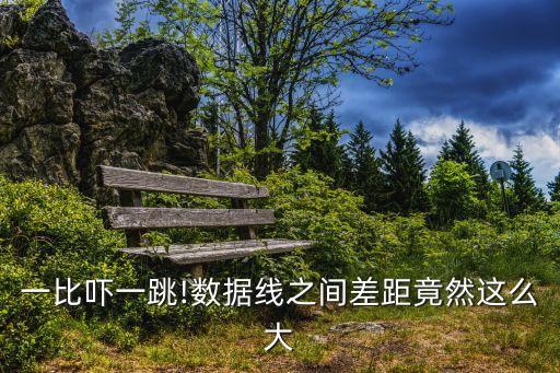 一比嚇一跳!數(shù)據(jù)線之間差距竟然這么大