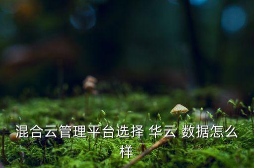 混合云管理平臺(tái)選擇 華云 數(shù)據(jù)怎么樣