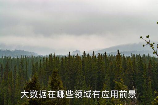 大數(shù)據(jù)在哪些領(lǐng)域有應(yīng)用前景