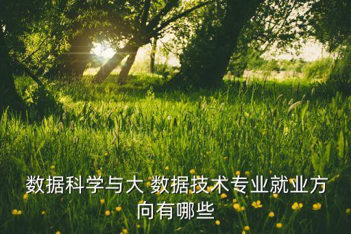 數(shù)據(jù)安全分析師,大數(shù)據(jù)安全分析師證書
