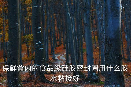 保鮮盒內(nèi)的食品級(jí)硅膠密封圈用什么膠水粘接好