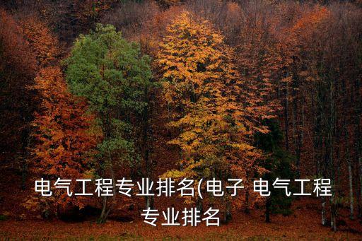  電氣工程專業(yè)排名(電子 電氣工程專業(yè)排名
