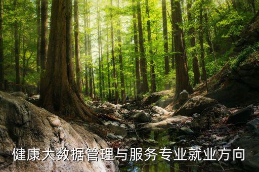 健康大數(shù)據(jù)管理與服務(wù)專業(yè)就業(yè)方向