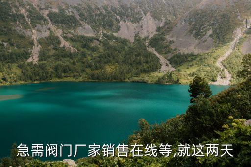 急需閥門廠家銷售在線等,就這兩天