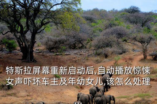 特斯拉屏幕重新啟動(dòng)后,自動(dòng)播放驚悚女聲嚇壞車主及年幼女兒,該怎么處理...