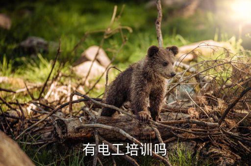 公司自動(dòng)化培訓(xùn)課件,辦公自動(dòng)化技能實(shí)訓(xùn)指南