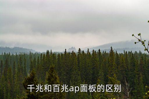千兆和百兆ap面板的區(qū)別