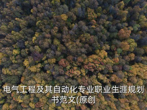 電氣工程及其自動化專業(yè)職業(yè)生涯規(guī)劃書范文(原創(chuàng)