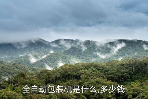 安徽食品包裝機自動化設備,全自動包裝機怎么使用