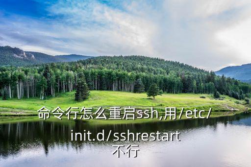 命令行怎么重啟ssh,用/etc/init.d/sshrestart不行